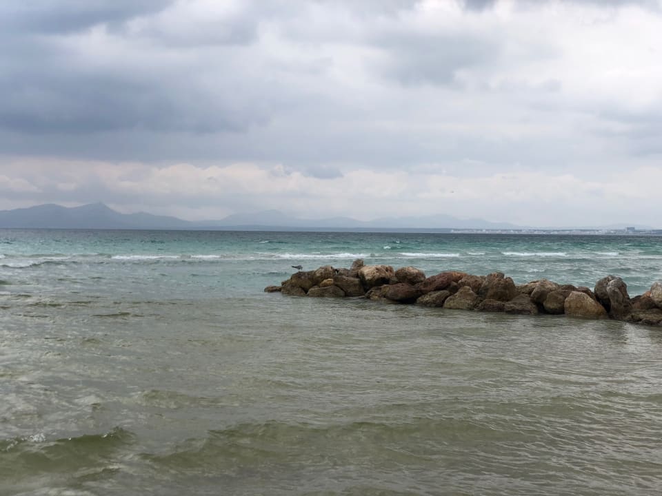 Strand Alcudia Garden Aparthotel