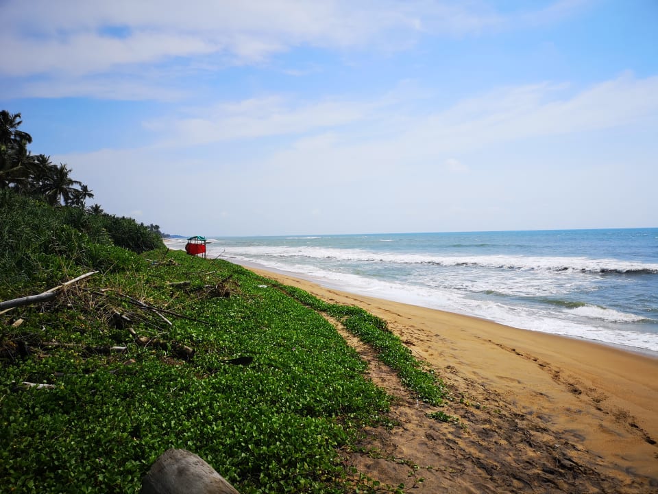 Strand Royal Palms Beach Hotel