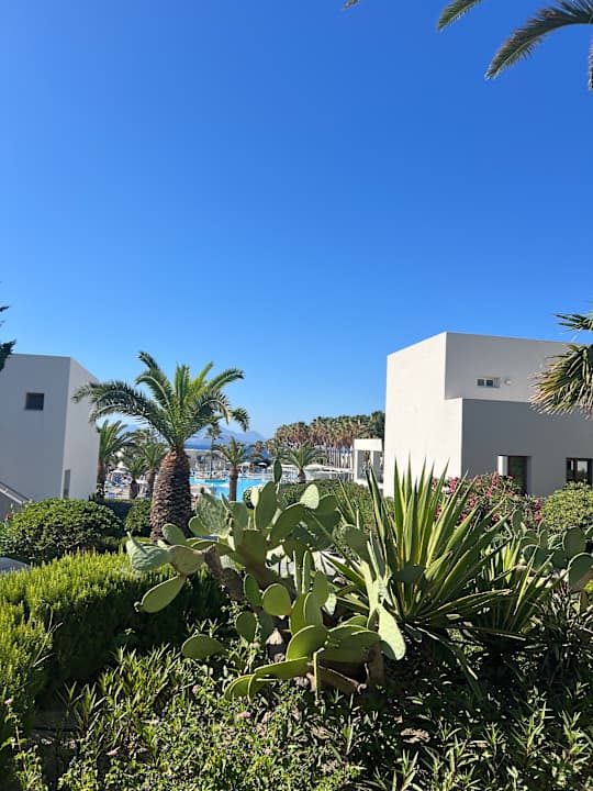 Gartenanlage Porto Bello Beach