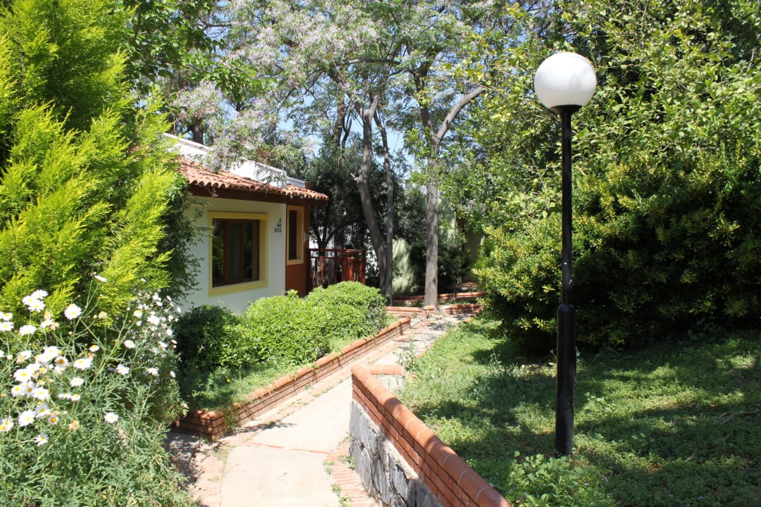 Widok z bungalowu Hotel Pine Bay Holiday Resort