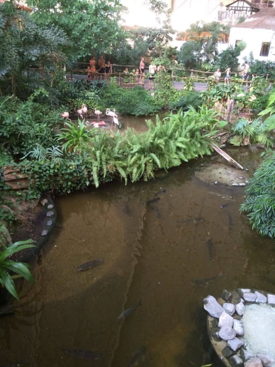 Fische Tropical Islands Resort