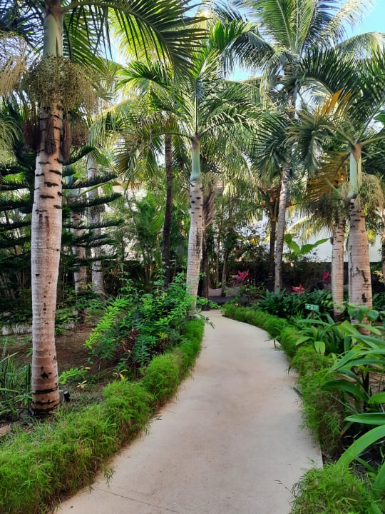 Gartenanlage Friday Attitude