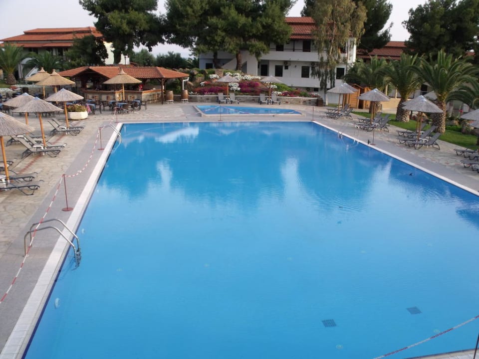 Immer eine Liege frei Blue Dolphin Resort Hotel