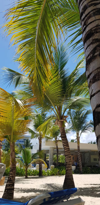 Ausblick Hotel Riu Republica - Adults only