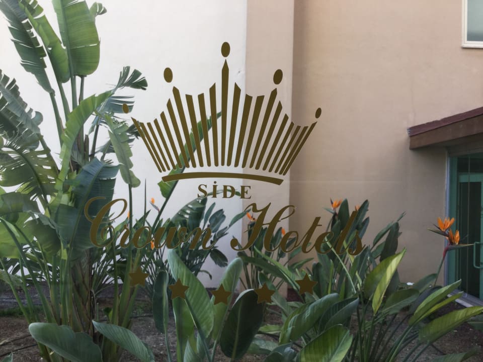 Gartenanlage Well Palace Side