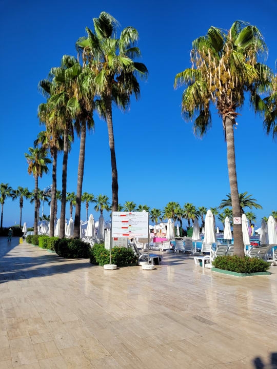 Pool Hotel Botanik Platinum