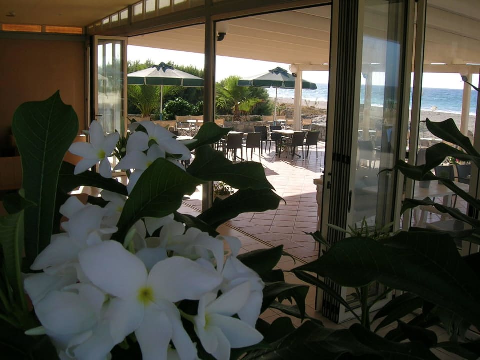 Poolbar Hotel Kathrin Beach