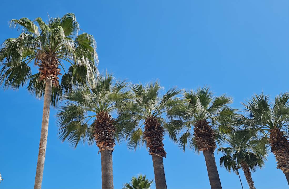 Pool Sun Beach Park & Spa