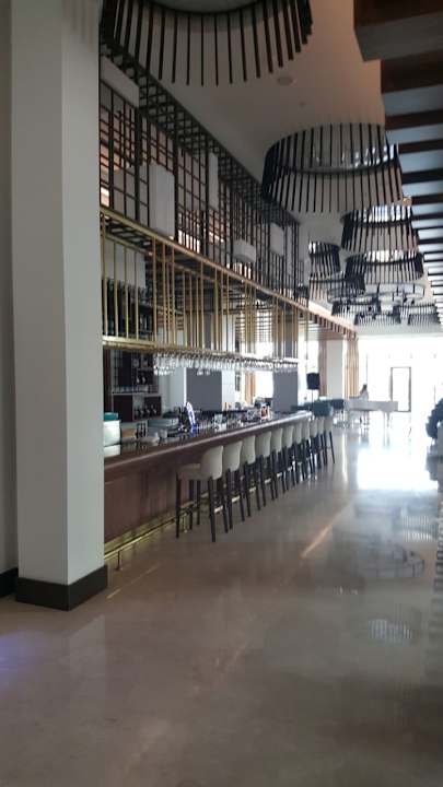 Gastro Acanthus Cennet Barut Collection