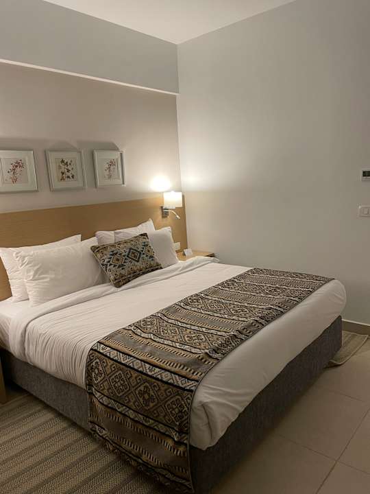 Zimmer JAZ Elite Asteria