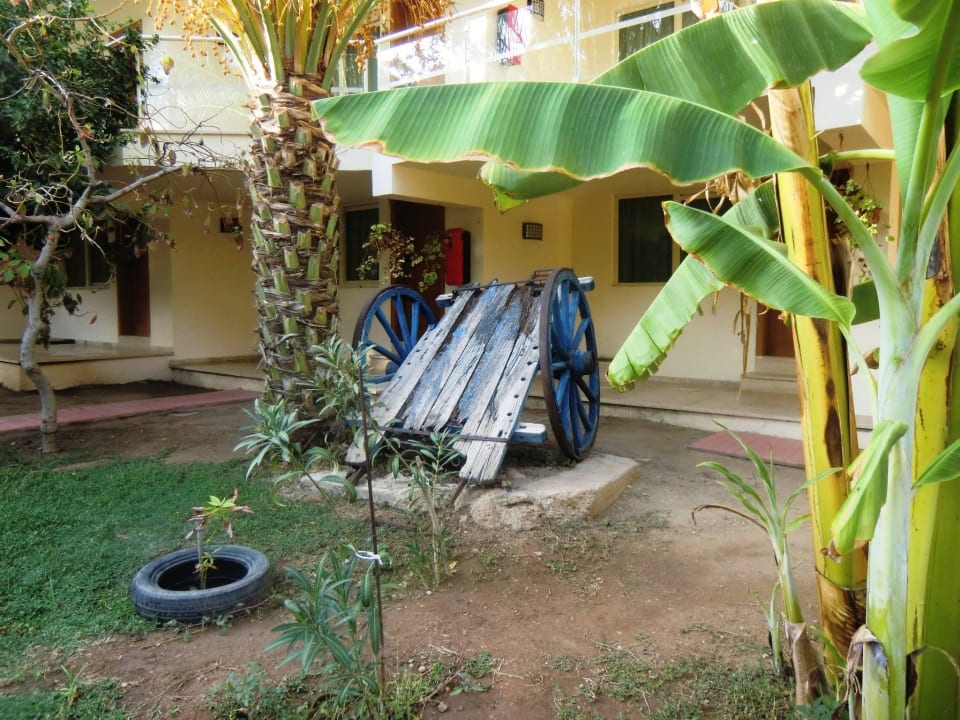 Liebevolle Gestaltung Oscar Resort Hotel