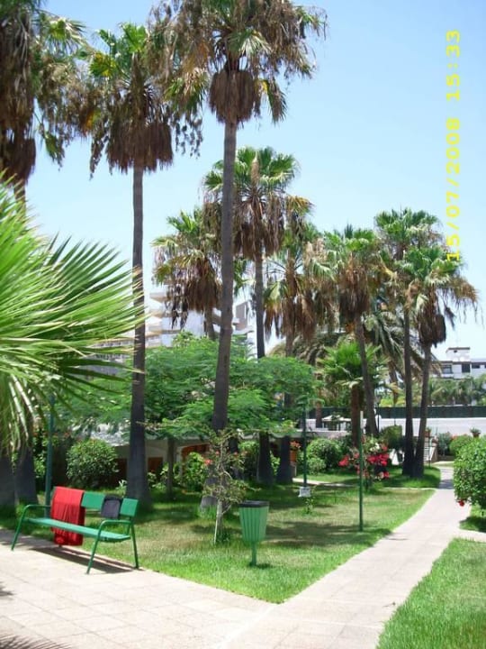 Garten - zwischen Hotel & Rezeption Hotel El Palmar