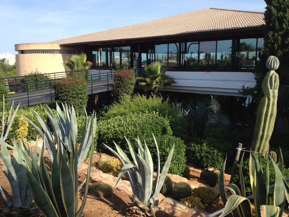 Sitzlounge vor Speisesaal Blau Colònia Sant Jordi