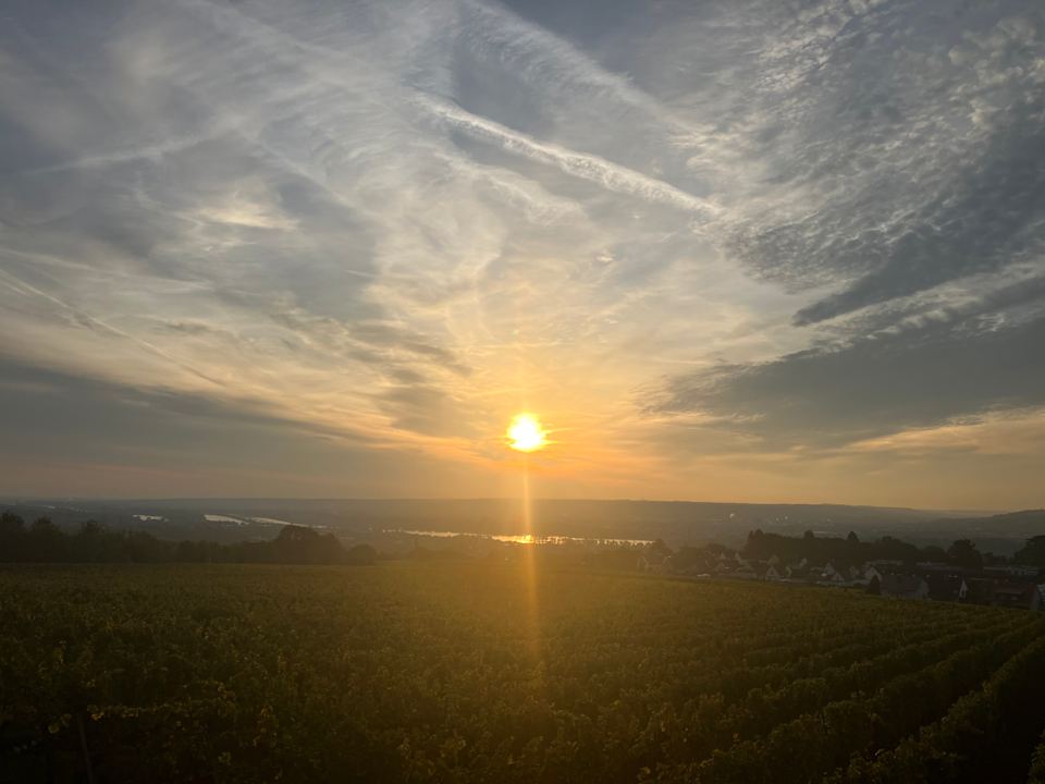 Ausblick Relais & Châteaux Hotel Burg Schwarzenstein