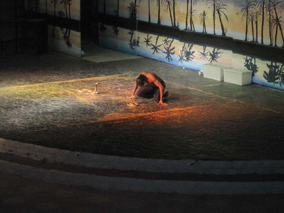 Cobra Show Pickalbatros Alf Leila Wa Leila Resort - Neverland Hurghada