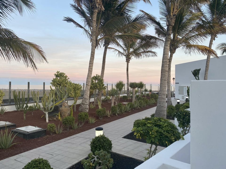 Gartenanlage Hotel Las Costas