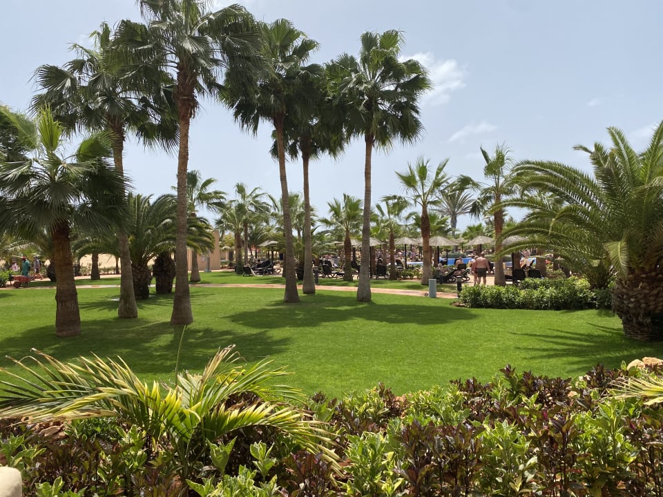 Gartenanlage Hotel Riu Touareg