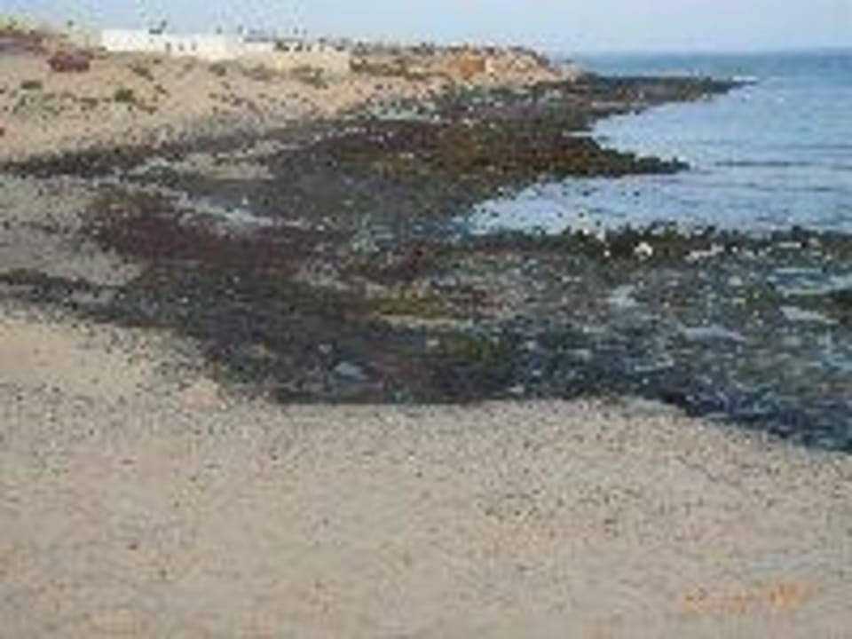 "Super"-Strand SBH Costa Calma Beach Resort