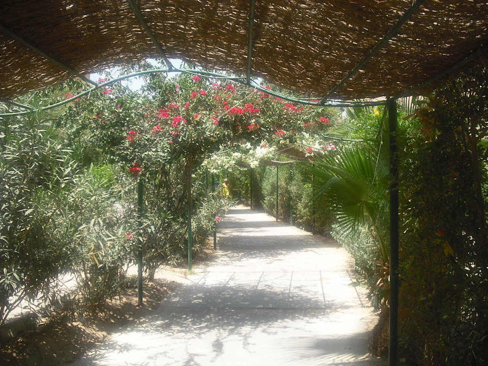 Weg zum Strand Jaz Makadi Oasis Resort