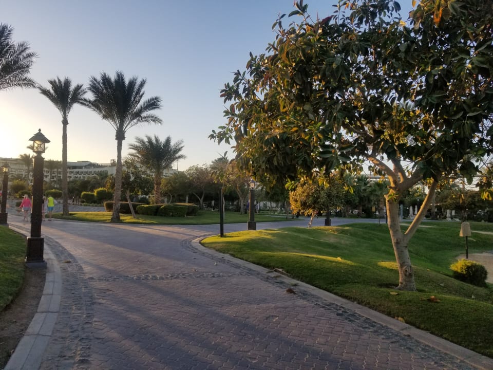 Gartenanlage Steigenberger ALDAU Beach Hotel