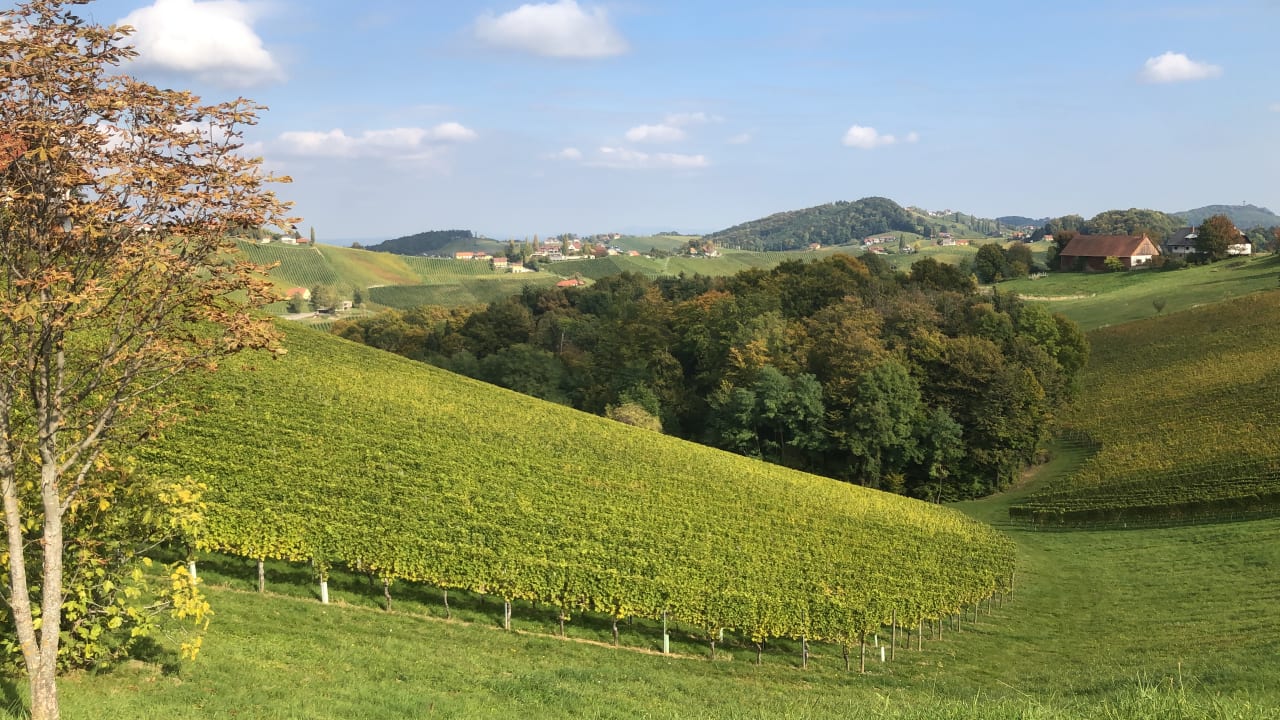 Ausblick Ratscher Landhaus
