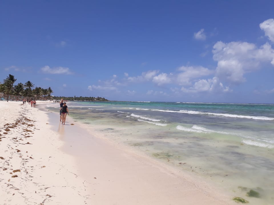 Strand Akumal Bay Beach & Wellness Resort