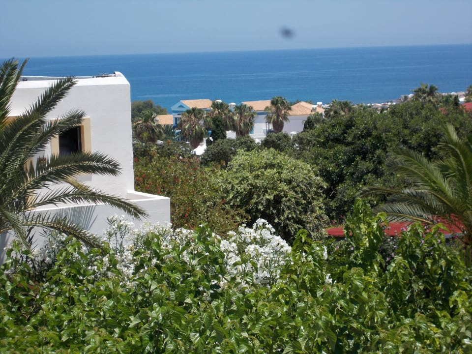 Gartenanlage TUI SUNEO Chrissi Amoudia