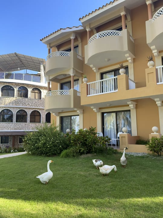 Gartenanlage Hotel Viva Dominicus Palace by Wyndham-All Inclusive Resort