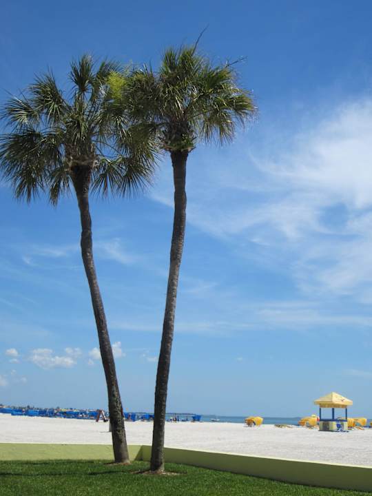 Blick auf den Hotelstrand Hotel The Alden Resort