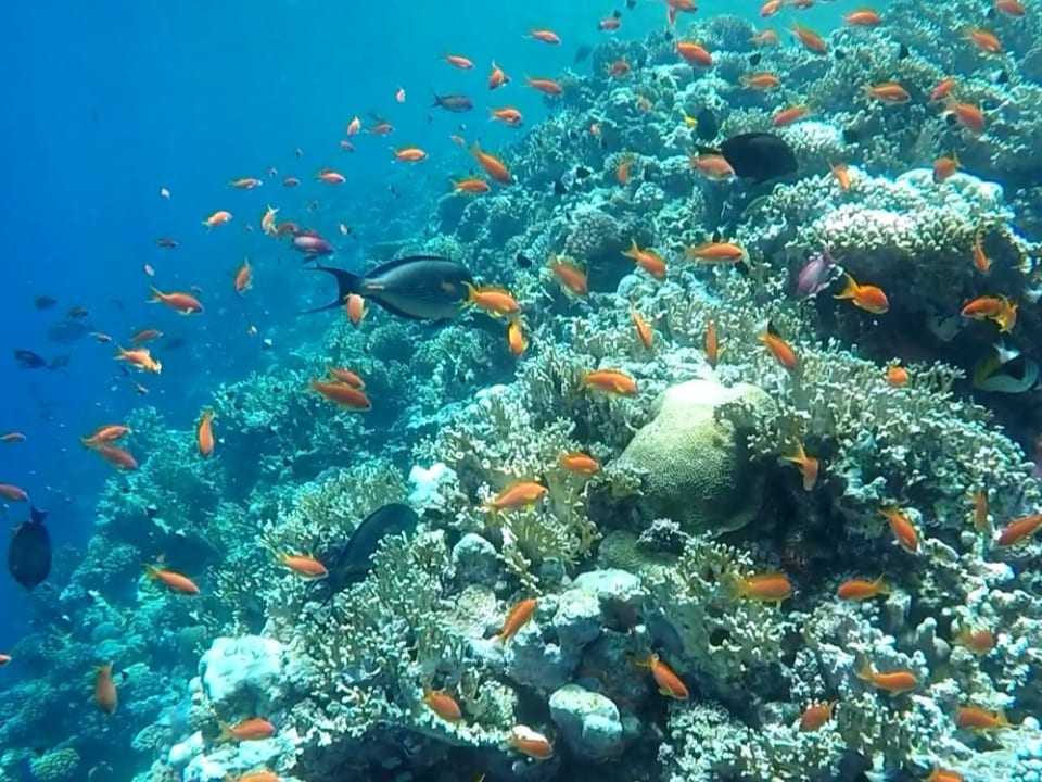 Strand Akassia Swiss Resort