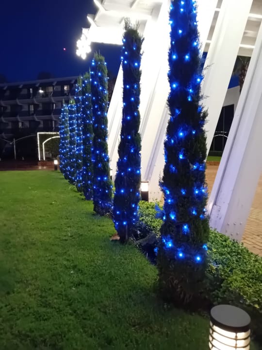 Außenansicht Side Star Elegance