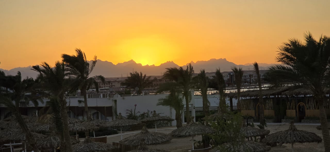 Sonstiges Desert Rose