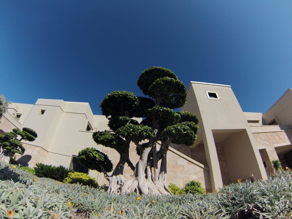 Zierbäume Aquagrand Artistic Luxury Beach Resort - Adults only