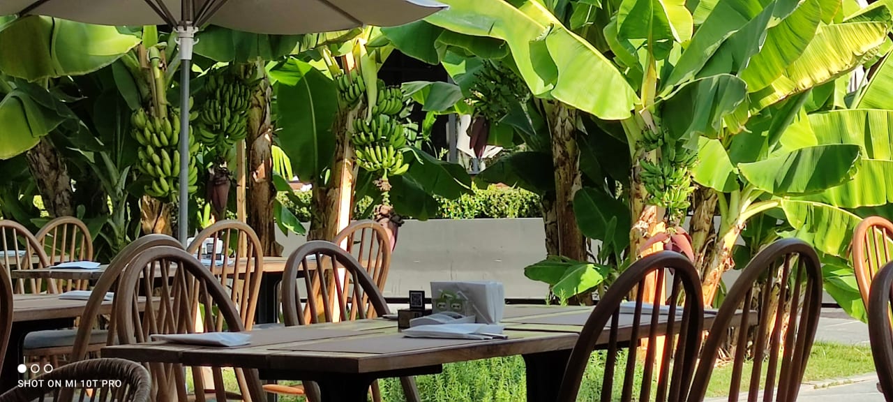 Gastro Hotel Miramare Beach