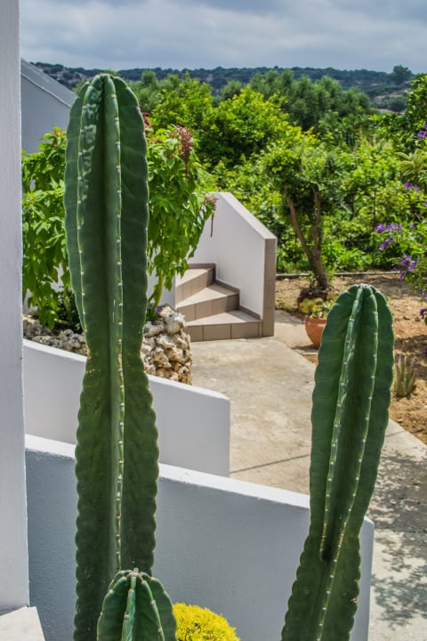 Gartenanlage Villa Stefania Dream