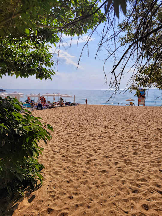 Strand Sentido Marea