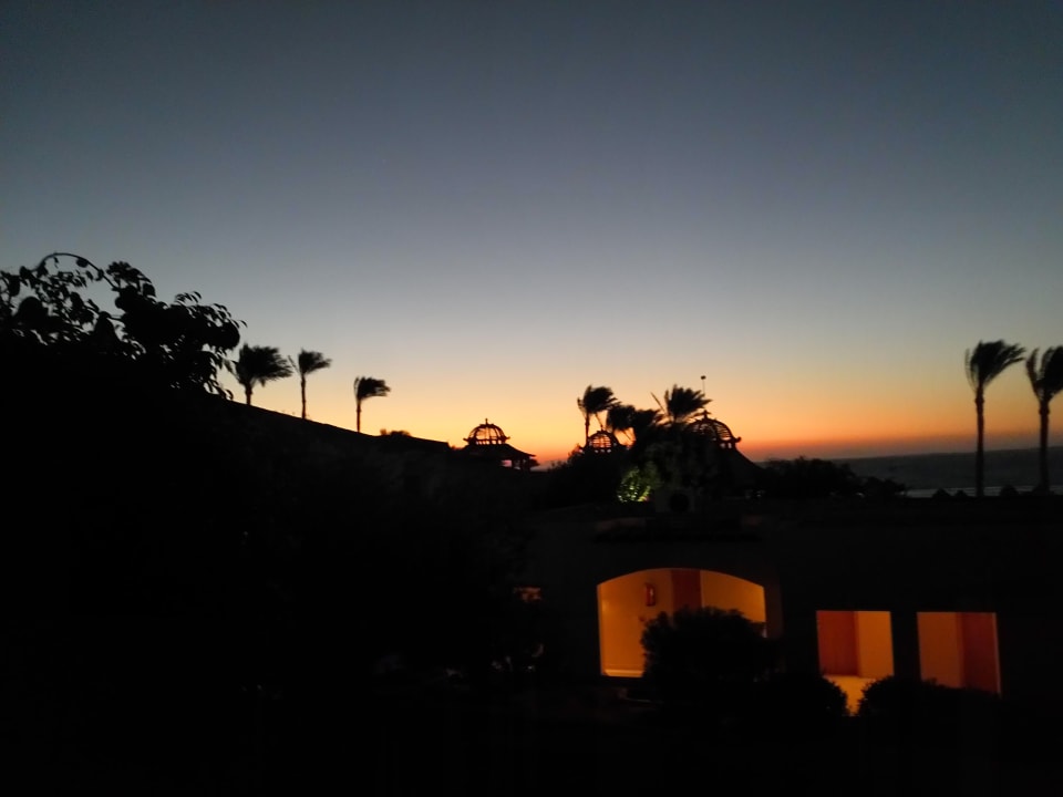 Ausblick Parrotel Beach Resort