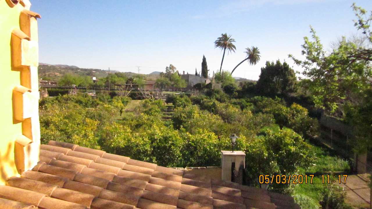 Nachbarschaft + Zufahrt  Finca Cas Pec