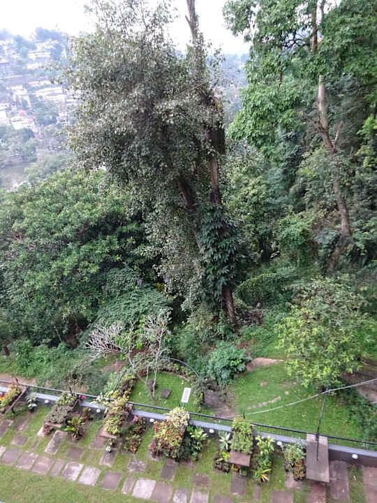 Gartenanlage Hotel Thilanka