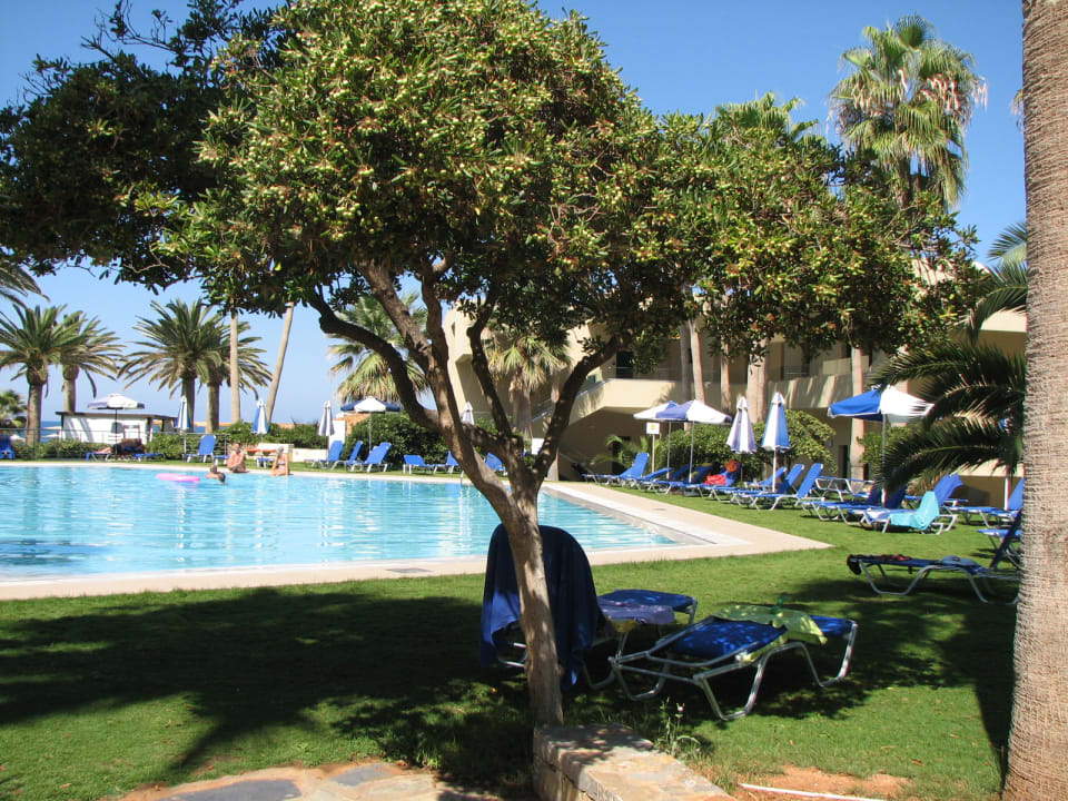 Pool Calimera Sirens Beach