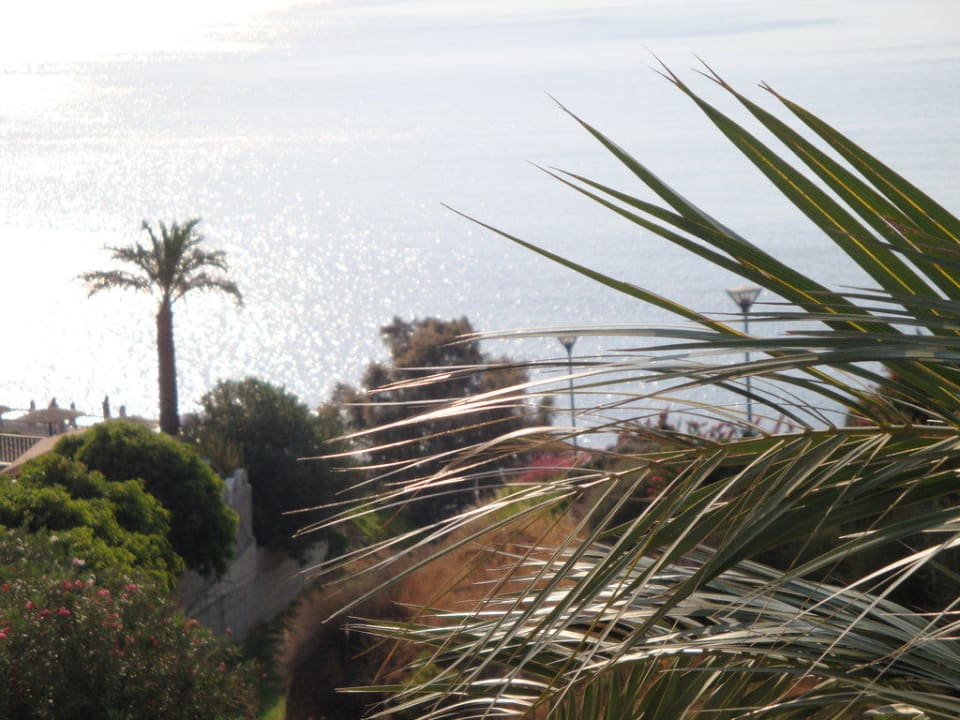 Blick vom Balkon zum Meer Dimitra Beach Hotel & Suites