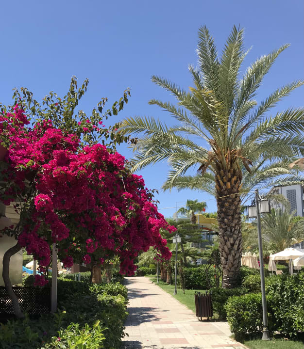 Gartenanlage Seaden Sea World Resort & Spa