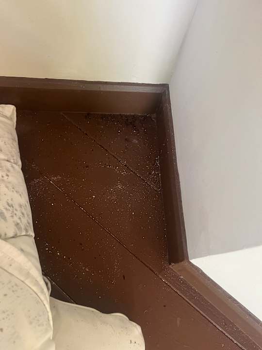 Zimmer Kihaa Maldives