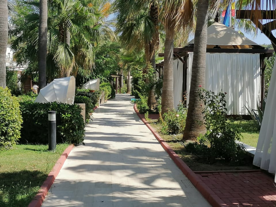 Gartenanlage Saphir Resort & Spa