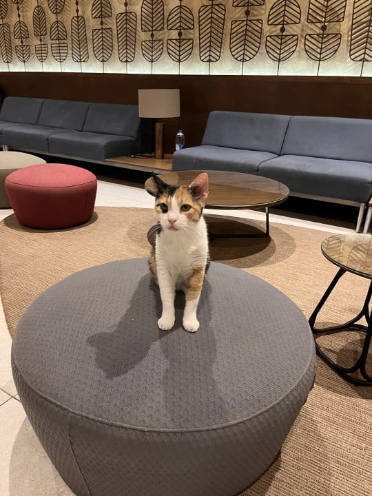 Lobby Hotel Riu Cabo Verde