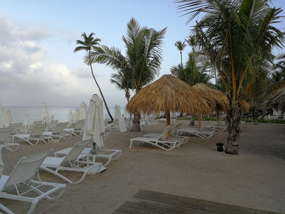 Schon wieder morgens um 6 Catalonia Royal La Romana - Adults only