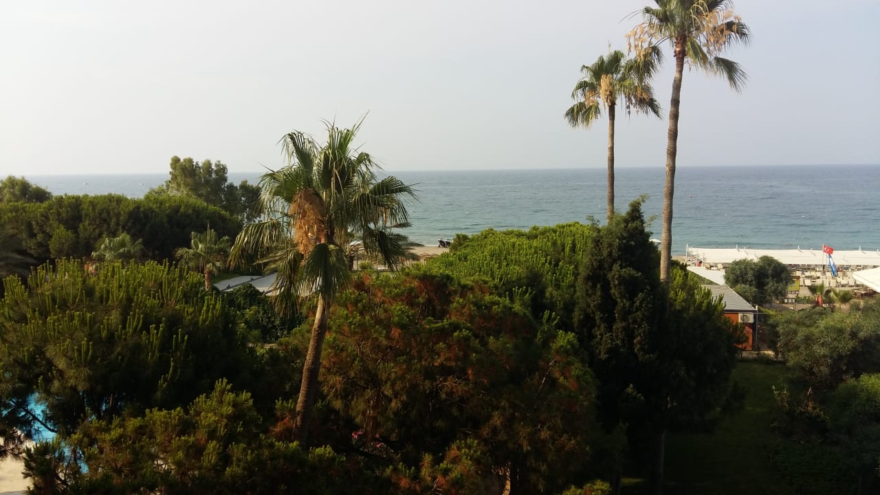Ausblick Club Turtas Beach Hotel