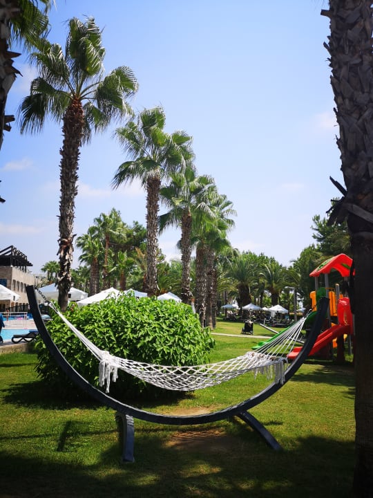 Sport & Freizeit Kamelya Aishen Club