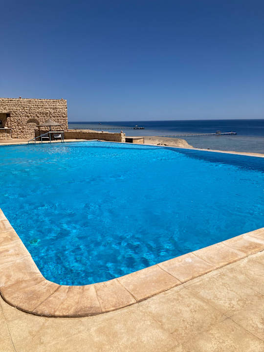 Pool The Oasis Dive Resort