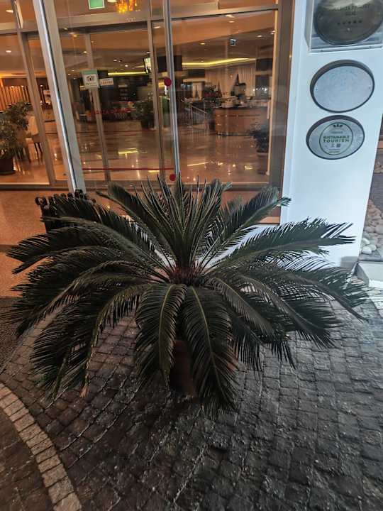 Lobby Narcia Resort Side